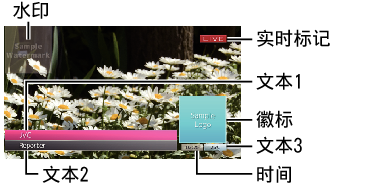 HM250 Overlay_broadcast